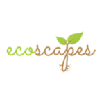 Untitled design (23)